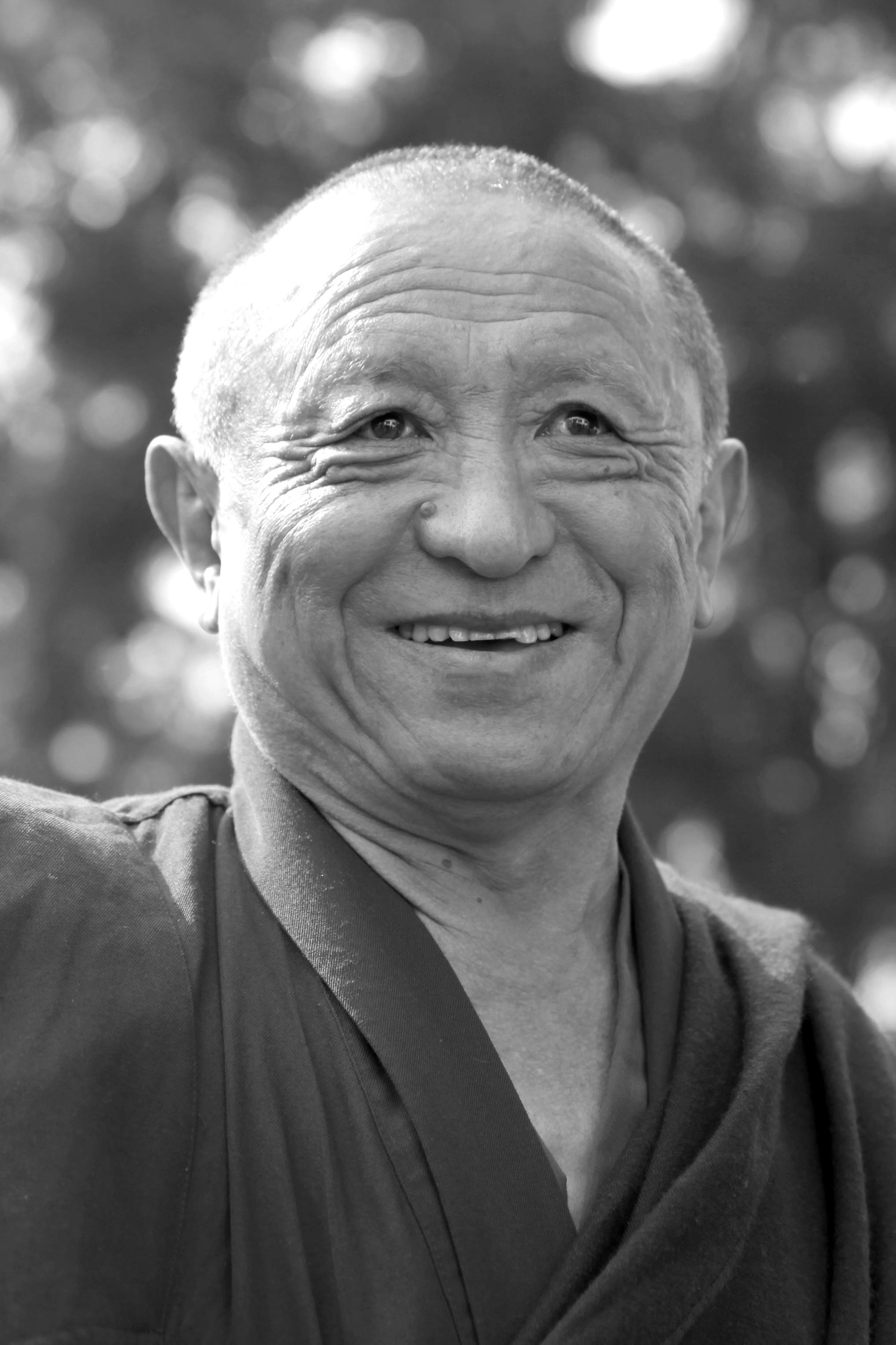 Portrait of Chökyi Nyima Rinpoche
